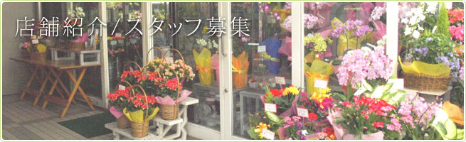 江坂駅前 花屋 店舗紹介/スタッフ募集