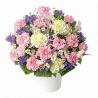 アレンジメント