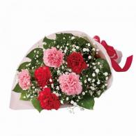 カーネーションの花束(レッド)
