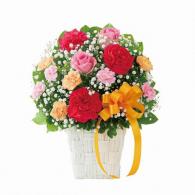 ピンクバラとカーネーションの母の日アレンジメント