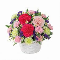 華やかなアレンジメント