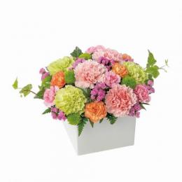 ロマンチック(ピンク)