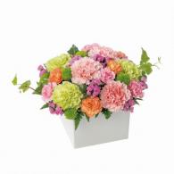 ロマンチック(ピンク)