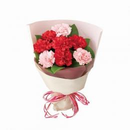 カーネーションの花束(レッド)