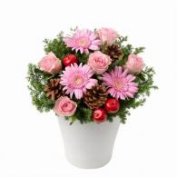 ピンクバラのウィンターアレンジメント