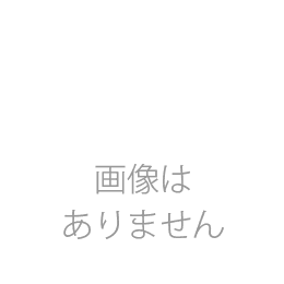 ミニ胡蝶蘭(白)