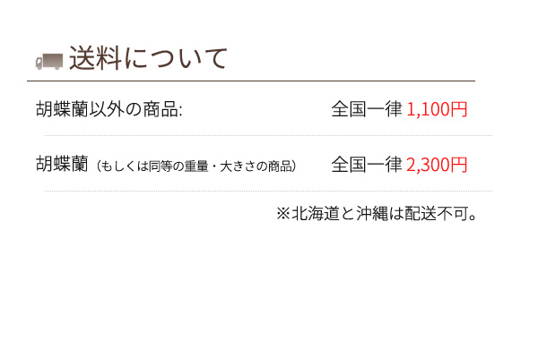 送料